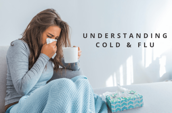 Understanding Cold and Flu