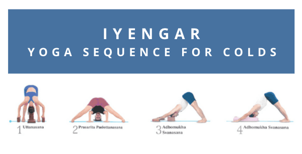 Iyengar Yoga Sequence for Colds